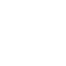 icon 55 icon 55